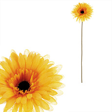 Gerbera - umělý květ na stonku, barva žlutá Gerbera - umělý květ na stonku, barva žlutá