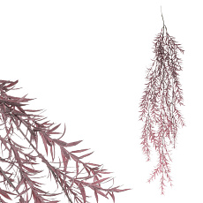 Asparagus - umělá převislá větev, fialová