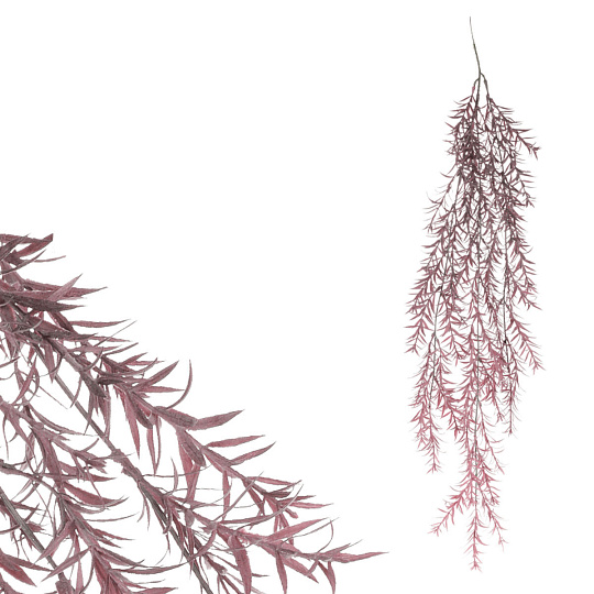 Asparagus - umělá převislá větev, fialová