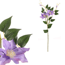 Clematis - umělá řezaná květina, tmavě fialová Clematis - umělá řezaná květina, tmavě fialová