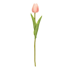 Tulipán pěnový - umělý řezaný, barva lososovo-bílá Tulipán pěnový - umělý řezaný, barva lososovo-bílá