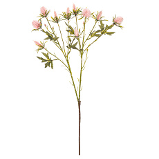 Eryngium - umělý řezaný, barva světle růžová Eryngium - umělý řezaný, barva světle růžová