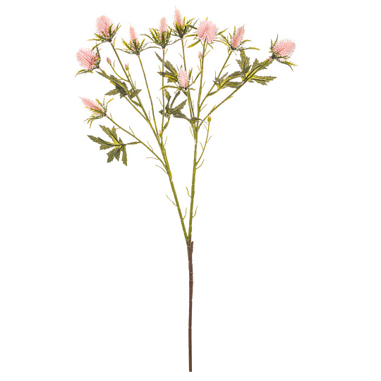 Eryngium - umělý řezaný, barva světle růžová Eryngium - umělý řezaný, barva světle růžová