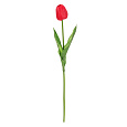 Tulipán pěnový - umělý řezaný, barva červená