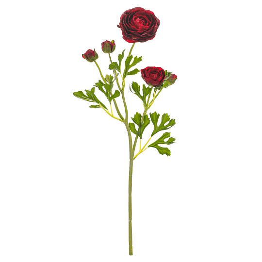 Ranunculus - umělý řezaný, květy s poupaty, červený Ranunculus - umělý řezaný, květy s poupaty, červený