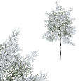 Túje - umělá větev, délka 44 cm, zasněžená