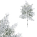 Túje - umělá větev, délka 44 cm, zasněžená