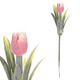 Tulipán mini - zápich, růžový, omrznutý, cena za 1 ks