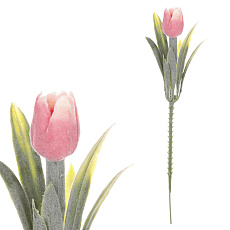 Tulipán mini - zápich, růžový, omrznutý, cena za 1 ks Tulipán mini - zápich, růžový, omrznutý, cena za 1 ks