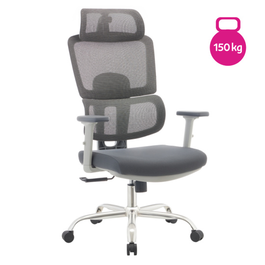 Kancelářské křeslo, šedá/chrom, nosnost 150 kg, BYRON