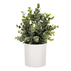 Buxus v bílém obalu - umělý, barva zelená Buxus v bílém obalu - umělý, barva zelená