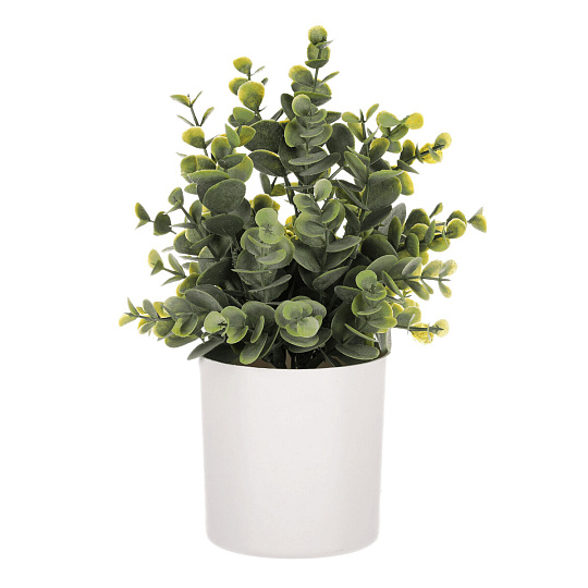 Buxus v bílém obalu - umělý, barva zelená Buxus v bílém obalu - umělý, barva zelená