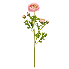 Ranunculus - umělý řezaný, květy s poupaty, světle růžový
