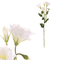 Eustoma - umělá řezaná květina, krémová Eustoma - umělá řezaná květina, krémová