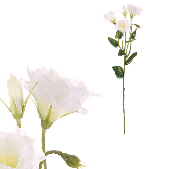 Eustoma - umělá řezaná květina, krémová Eustoma - umělá řezaná květina, krémová